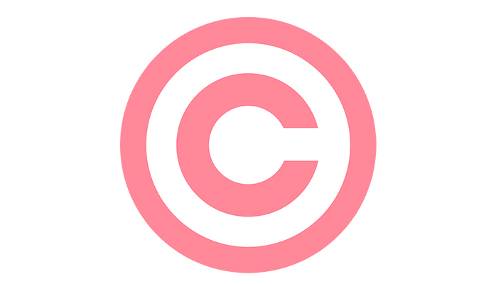 Transposition de la directive sur le droit d'auteur et les droits voisins dans le marché unique numérique